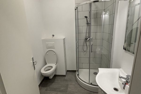 stan1wc-scaled